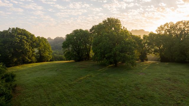 3556 Buford Station Rd, Lynnville, TN 38472