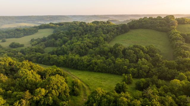 3556 Buford Station Rd, Lynnville, TN 38472