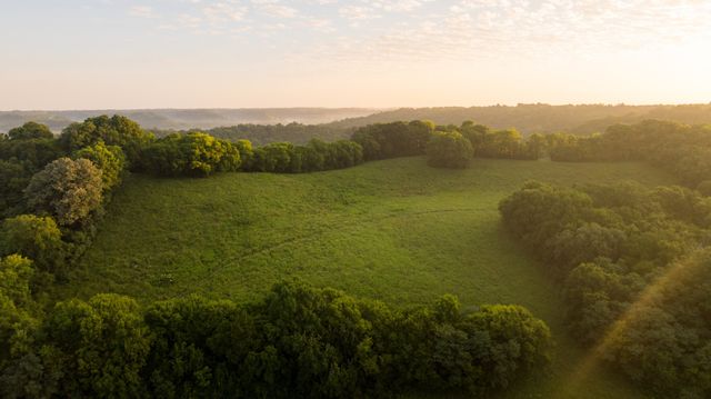 3556 Buford Station Rd, Lynnville, TN 38472