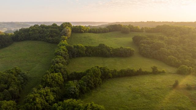 3556 Buford Station Rd, Lynnville, TN 38472