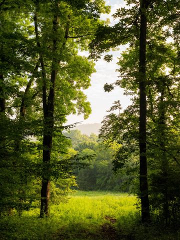 3556 Buford Station Rd, Lynnville, TN 38472