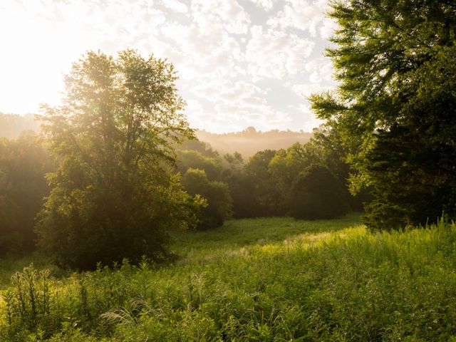 3556 Buford Station Rd, Lynnville, TN 38472