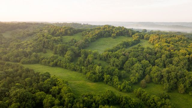 3556 Buford Station Rd, Lynnville, TN 38472