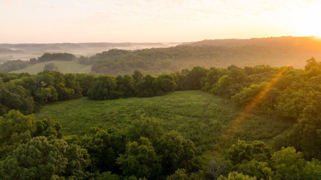 3556 Buford Station Rd, Lynnville, TN 38472