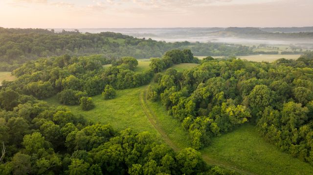 3556 Buford Station Rd, Lynnville, TN 38472