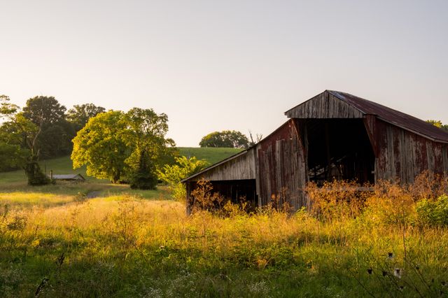 3556 Buford Station Rd, Lynnville, TN 38472