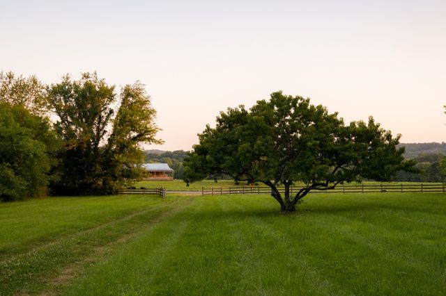 3556 Buford Station Rd, Lynnville, TN 38472