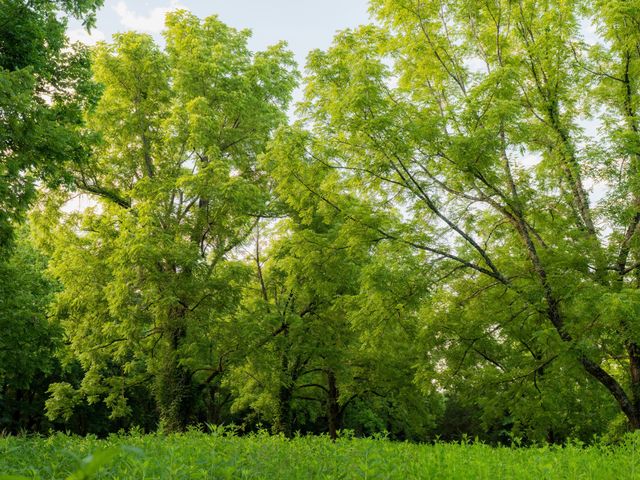 3556 Buford Station Rd, Lynnville, TN 38472
