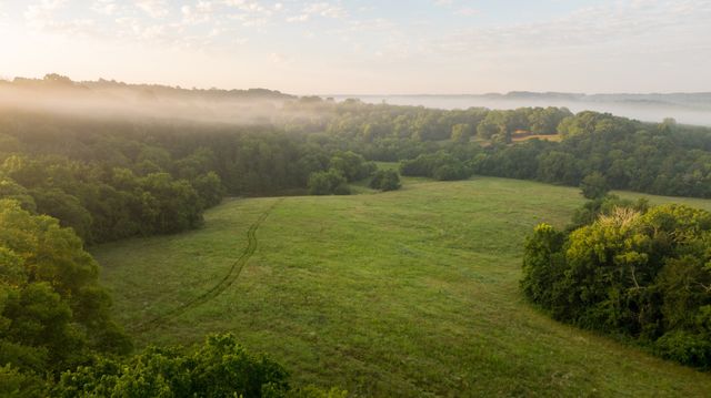 3556 Buford Station Rd, Lynnville, TN 38472