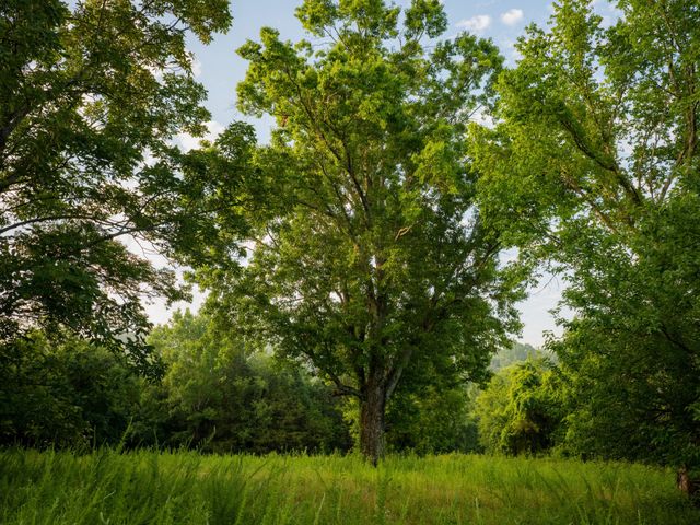 3556 Buford Station Rd, Lynnville, TN 38472