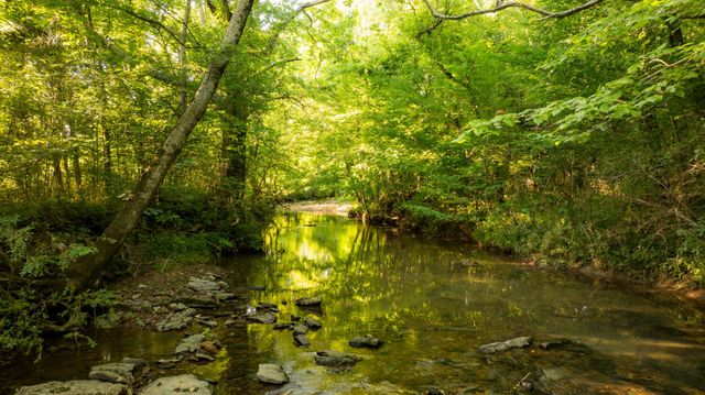 3556 Buford Station Rd, Lynnville, TN 38472