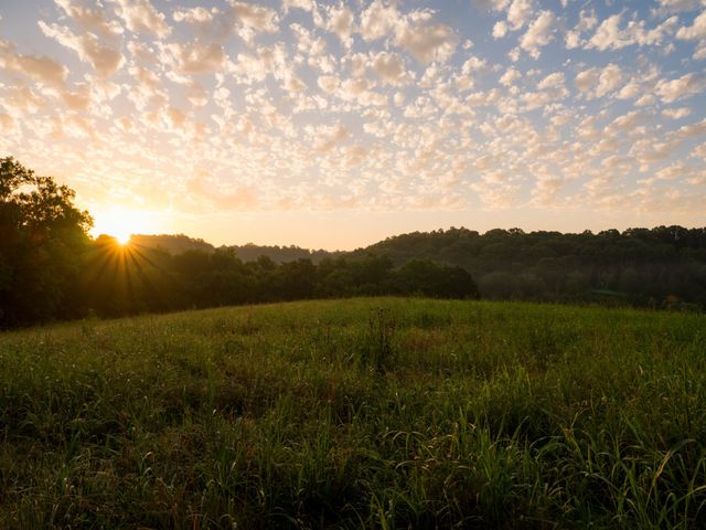 3556 Buford Station Rd, Lynnville, TN 38472
