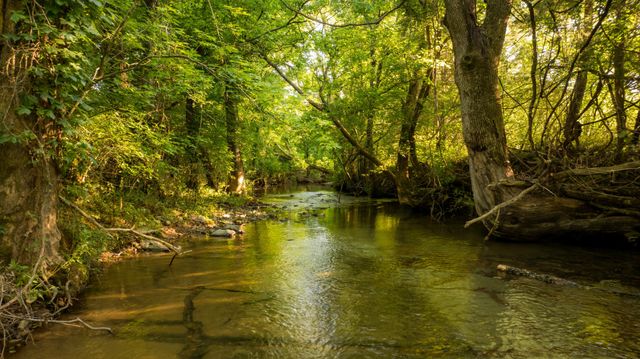 3556 Buford Station Rd, Lynnville, TN 38472