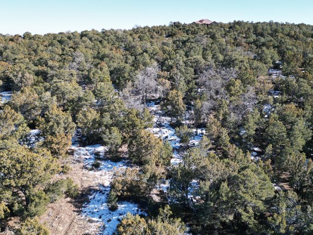 58 BOLIVAR, Tijeras, NM 87059