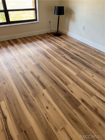 671 N Croft Avenue, Inverness, FL 34453