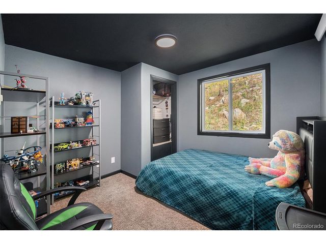 21795 Indian Springs Rd, Conifer, CO 80433