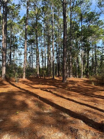 CR-450, Umatilla, FL 32784