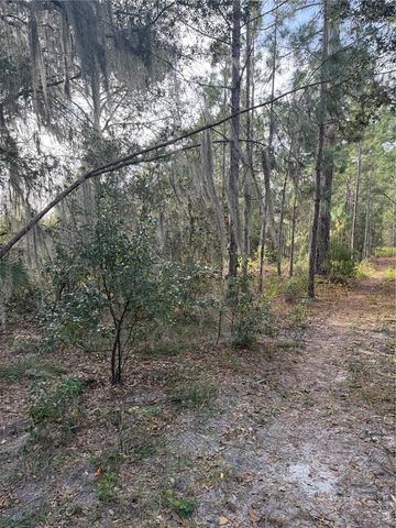 CR-450, Umatilla, FL 32784