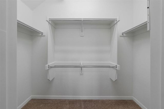 2233 Caniesto Street, Plano, TX 75074