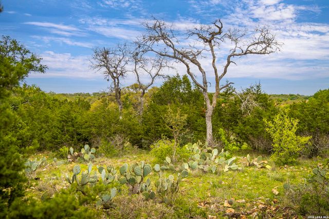 2610 Red Bud Way, New Braunfels, TX 78132