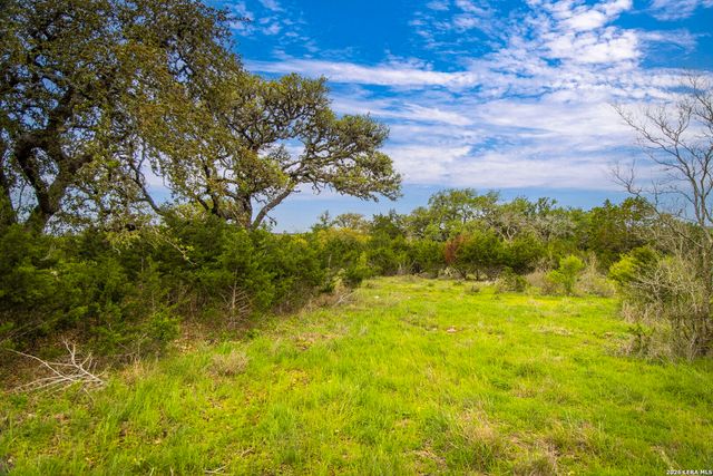 2610 Red Bud Way, New Braunfels, TX 78132