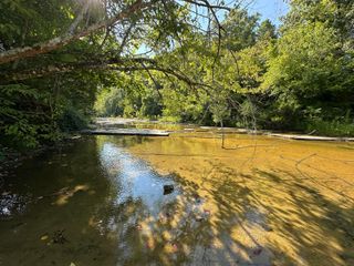 3700 West Fork Road, Burkesville, KY 42717