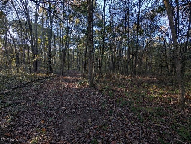 Forbes Road, Wellsville, OH 43968