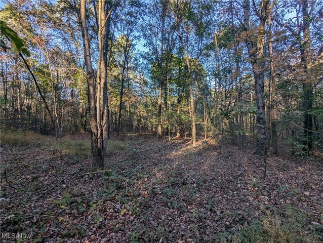 Forbes Road, Wellsville, OH 43968