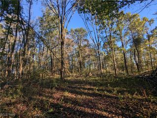 Forbes Road, Wellsville, OH 43968