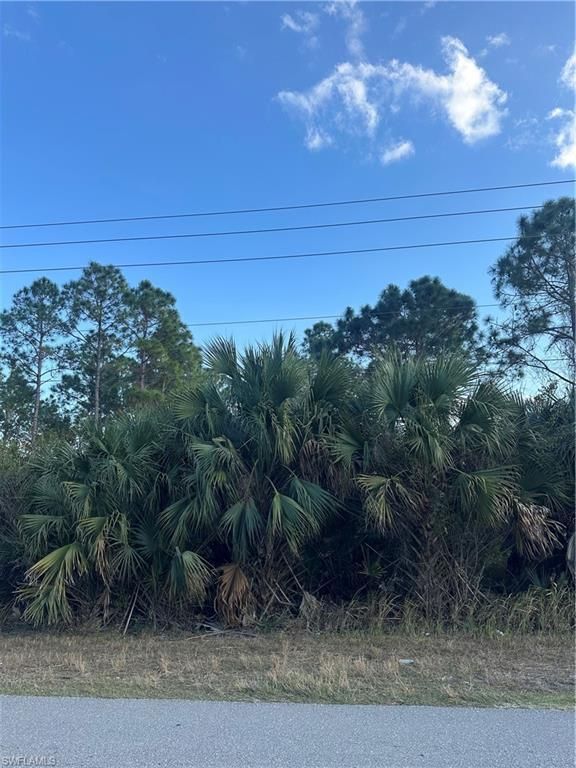 665 Woodcrest DR, LEHIGH ACRES, FL 33972 — photo 2