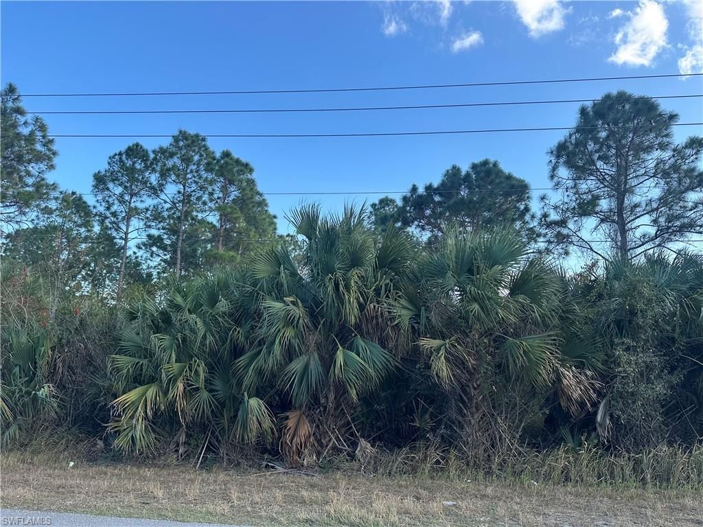 665 Woodcrest DR, LEHIGH ACRES, FL 33972 — photo 3