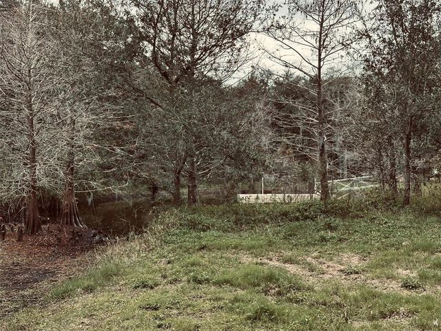 1676 HERMOSA DRIVE, Palm Harbor, FL 34683