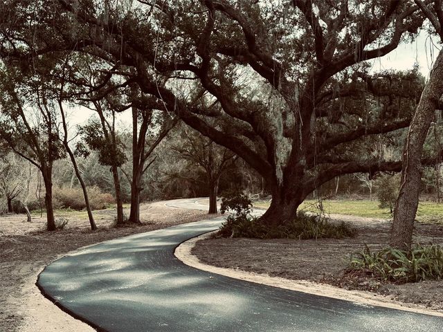 1676 HERMOSA DRIVE, Palm Harbor, FL 34683