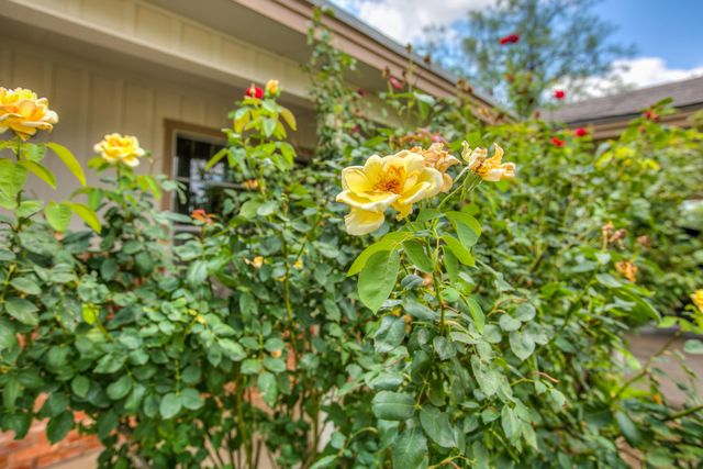 7686 Gladiola Avenue, San Angelo, TX 76901