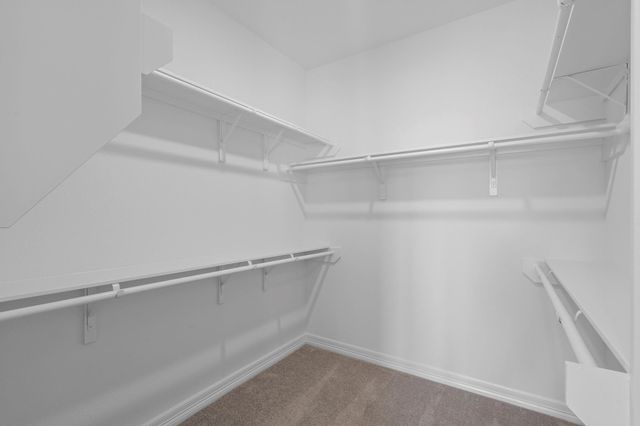 17503 Lavender Blossom Lane, Hockley, TX 77447