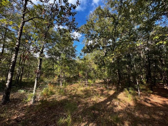 11805 & 11809 White Oak Pass, Conroe, TX 77385