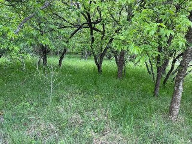 1980 Fm 933, Aquilla, TX 76622