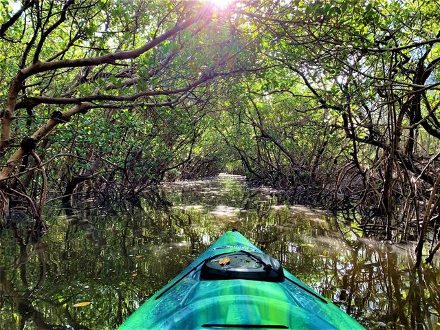 7325 HOLLY ROAD, Terra Ceia, FL 34250