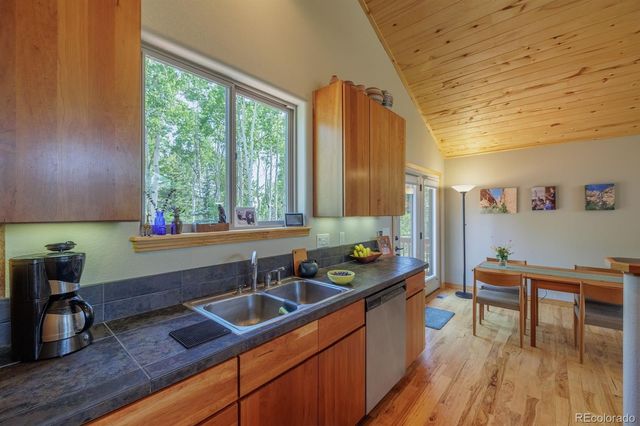 392 Aspen Village Road, Divide, CO 80814