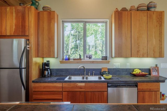 392 Aspen Village Road, Divide, CO 80814