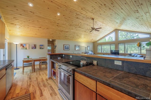 392 Aspen Village Road, Divide, CO 80814