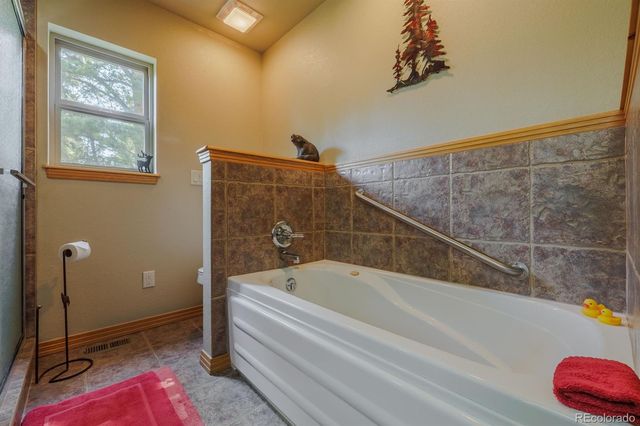 392 Aspen Village Road, Divide, CO 80814
