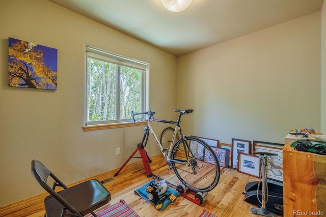 392 Aspen Village Road, Divide, CO 80814