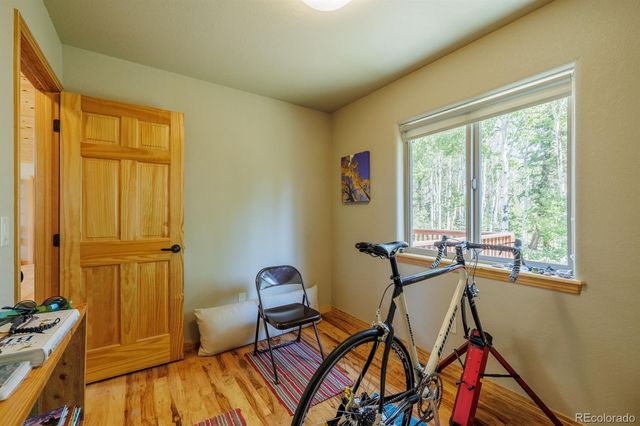 392 Aspen Village Road, Divide, CO 80814