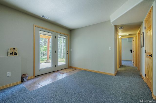392 Aspen Village Road, Divide, CO 80814