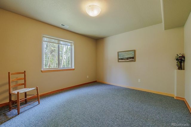 392 Aspen Village Road, Divide, CO 80814