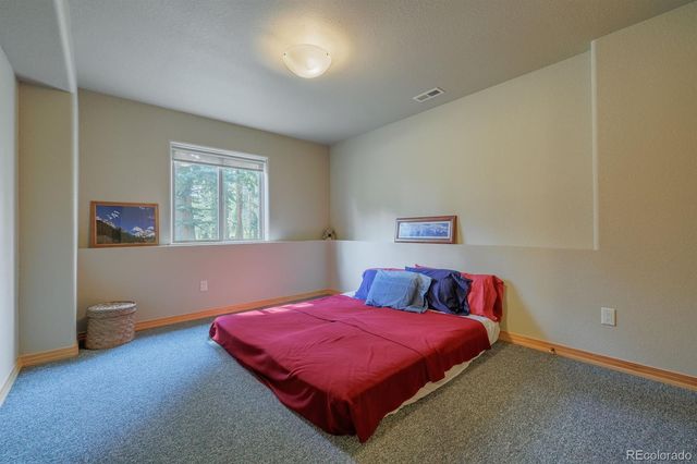 392 Aspen Village Road, Divide, CO 80814