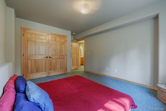 392 Aspen Village Road, Divide, CO 80814
