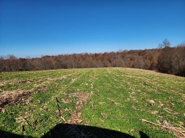 0 Taurus Farm Rd, Lafayette, TN 37083