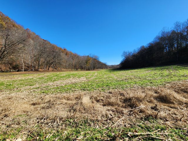 0 Taurus Farm Rd, Lafayette, TN 37083